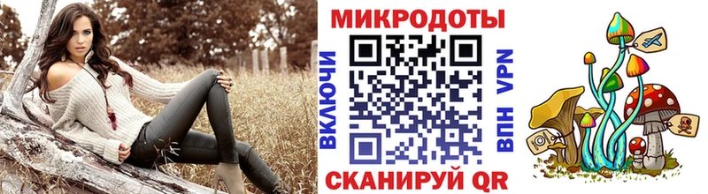 mega   Сергач  Псилоцибиновые грибы Cubensis 